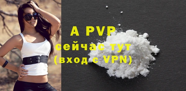 a pvp Бородино